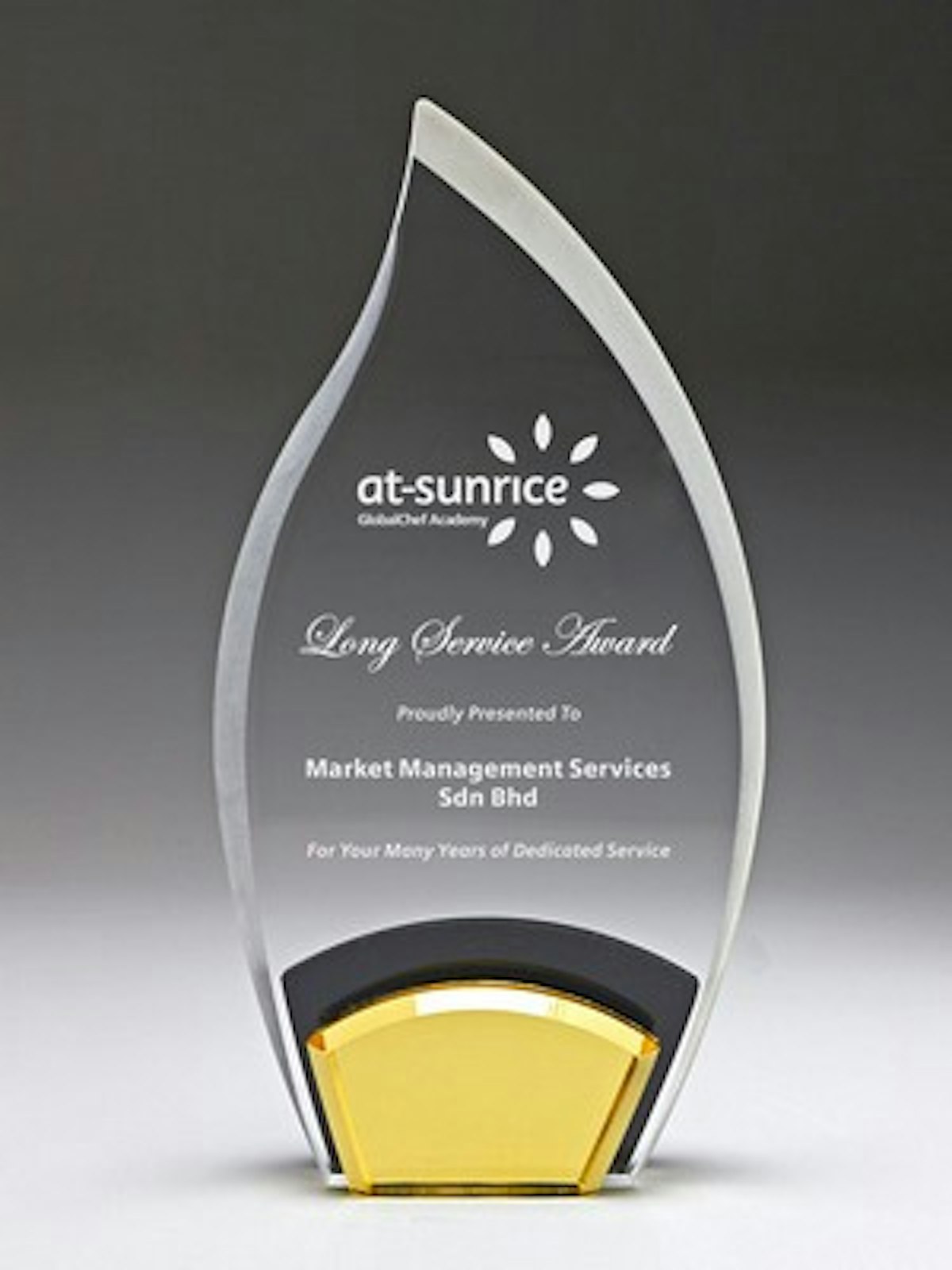 235mm Tear Drop Acrylic Award (Height) - custom logo